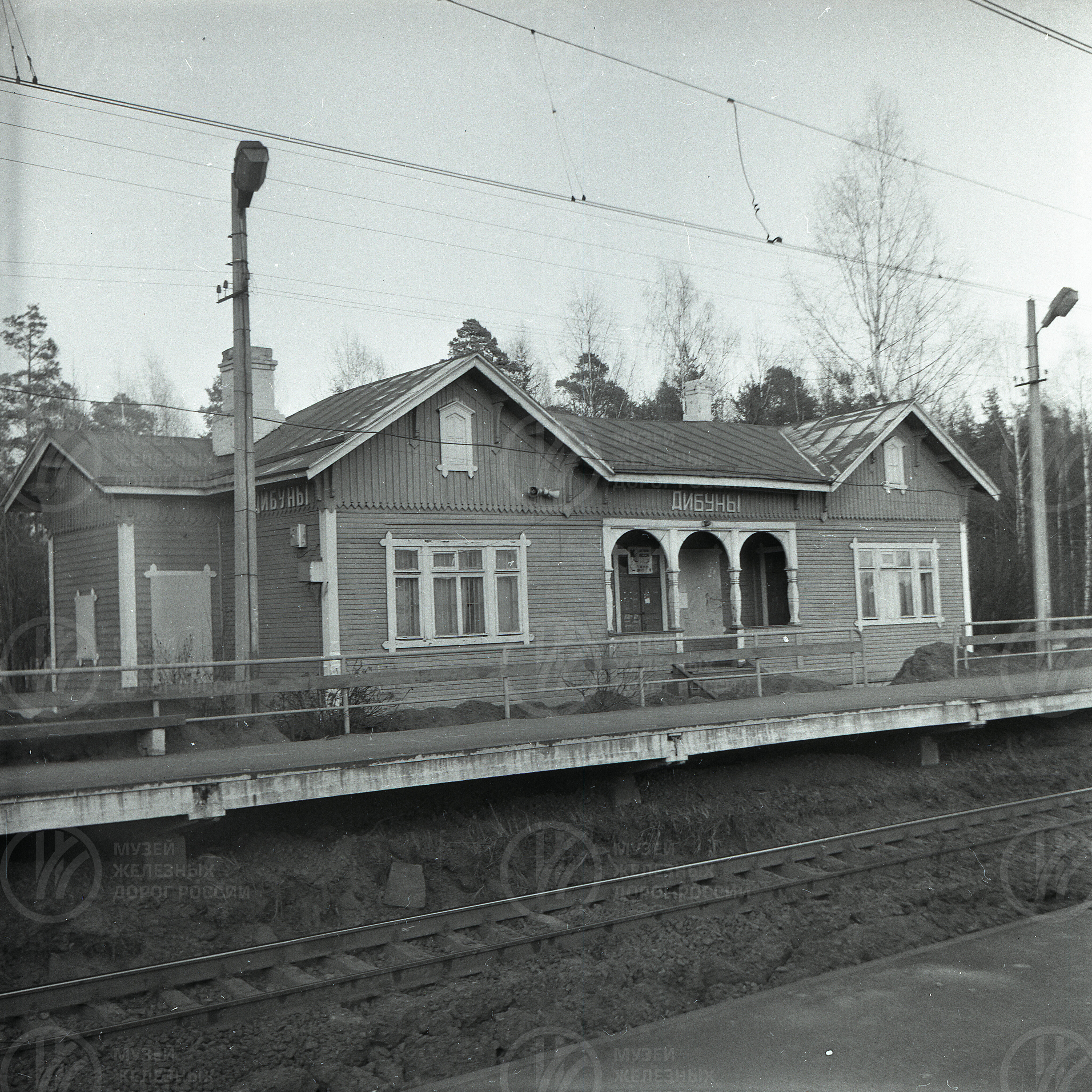 Платформа Дибуны, image 4