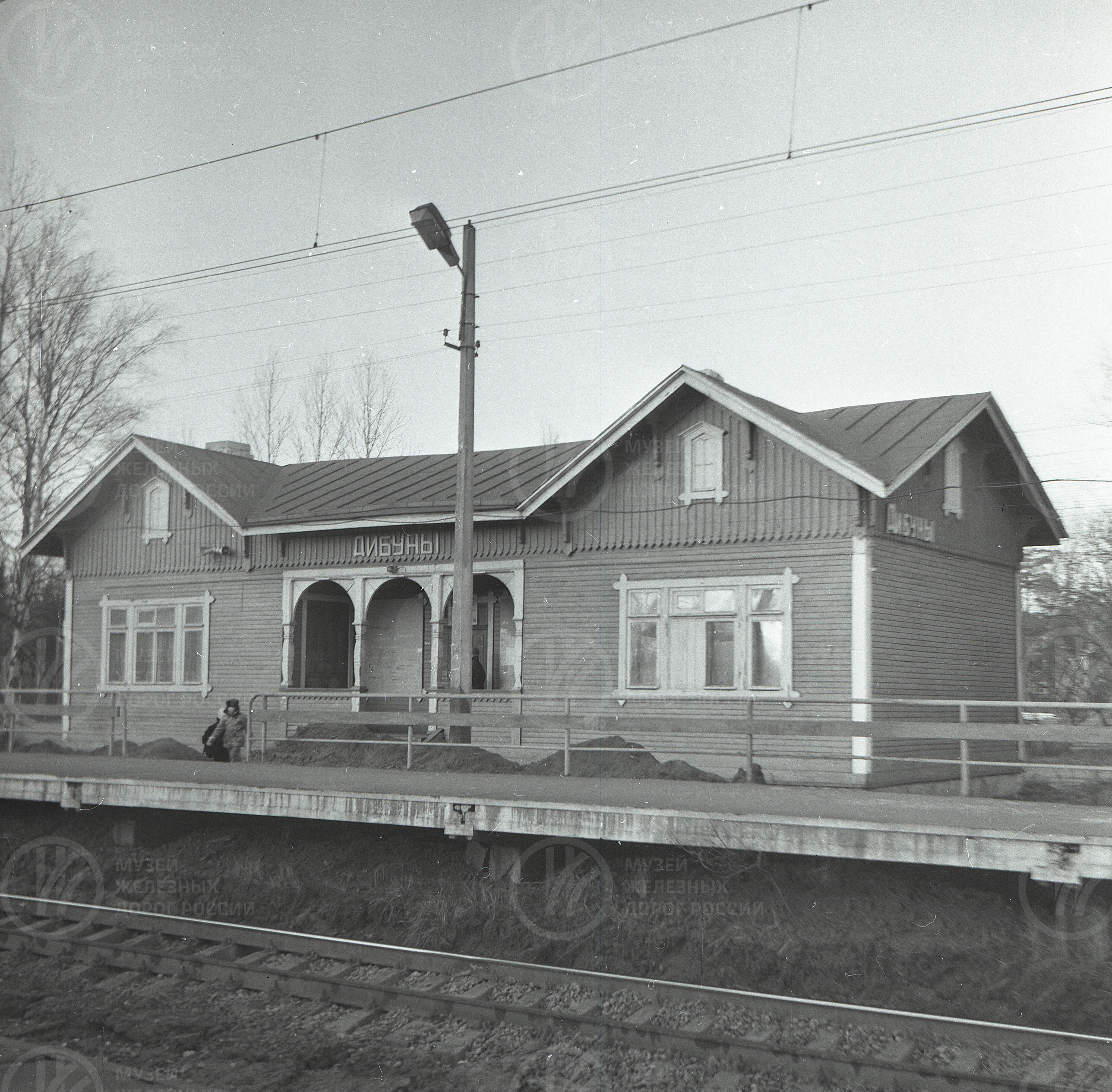 Платформа Дибуны, image 3