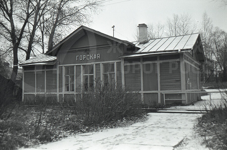 Станция Горская