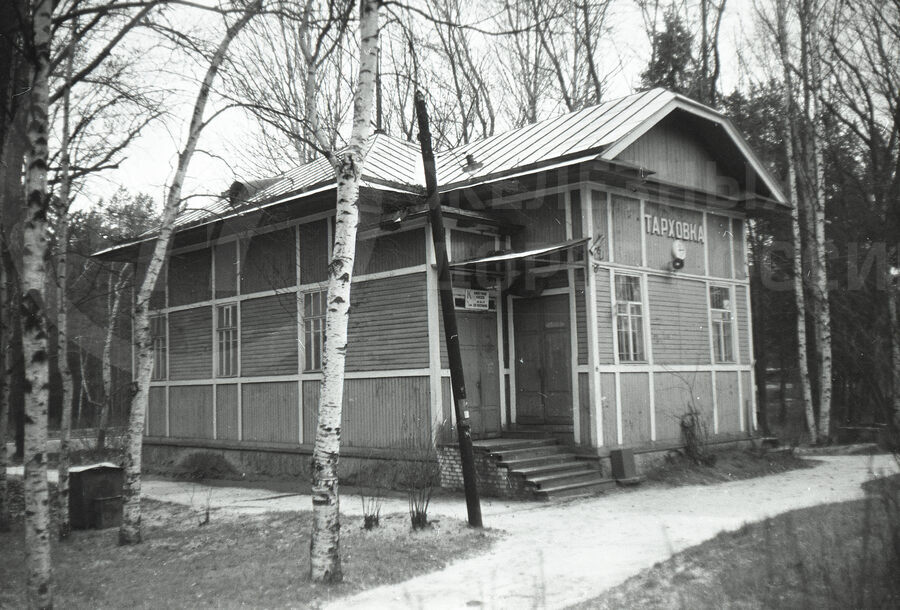 Станция Тарховка