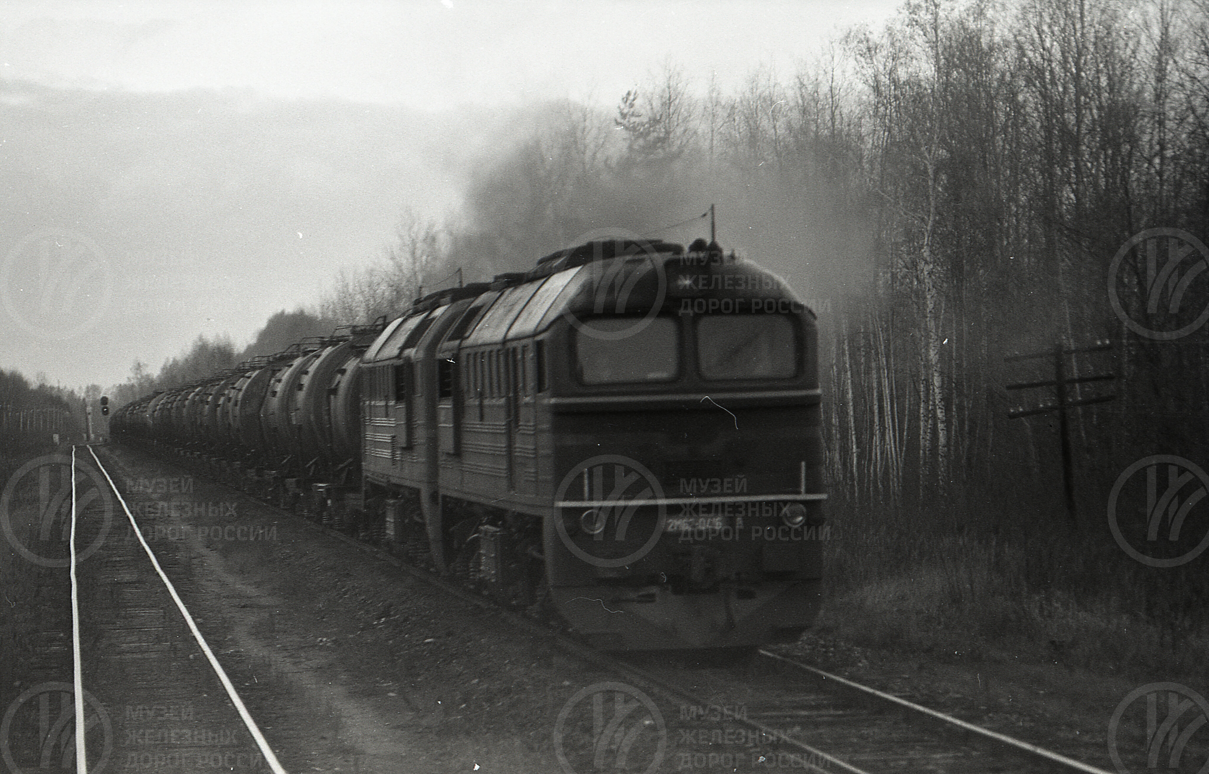 Тепловоз 2М62-0416 с грузовым поездом, изображение 1