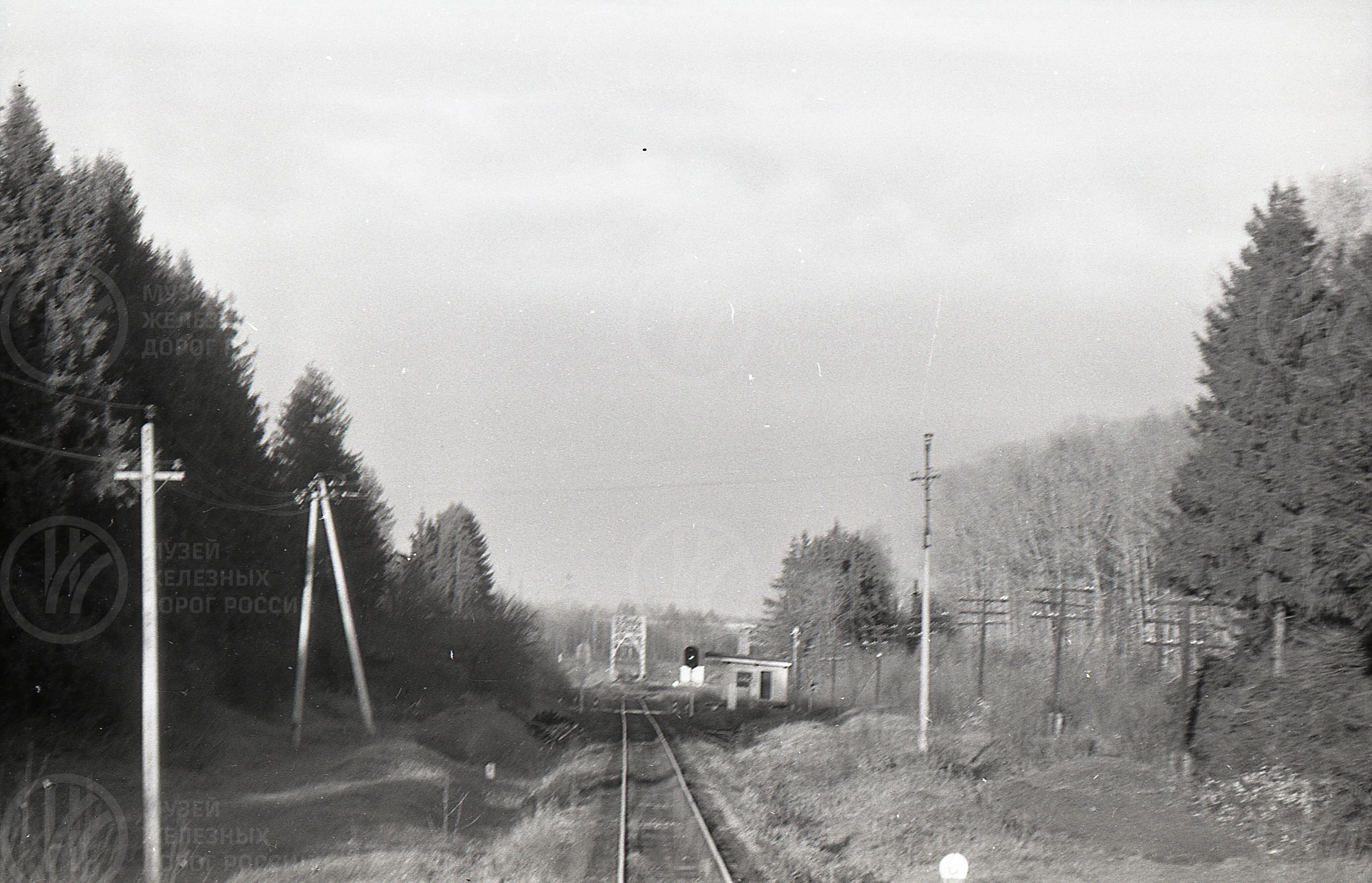 Железнодорожный мост. Станция Торжок, image 6