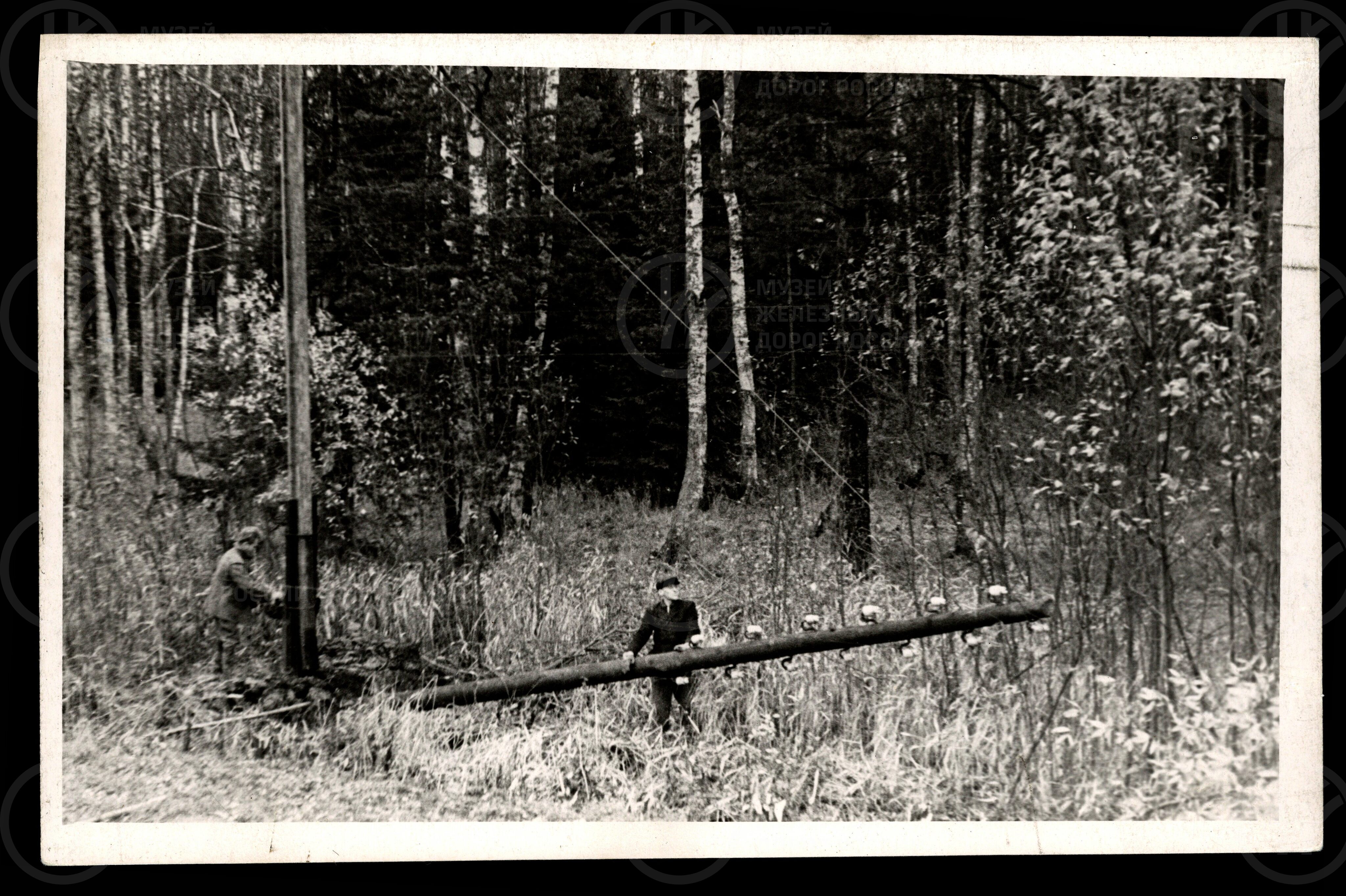Восстановление воздушной линии связи. 1945–1946 гг., изображение 1