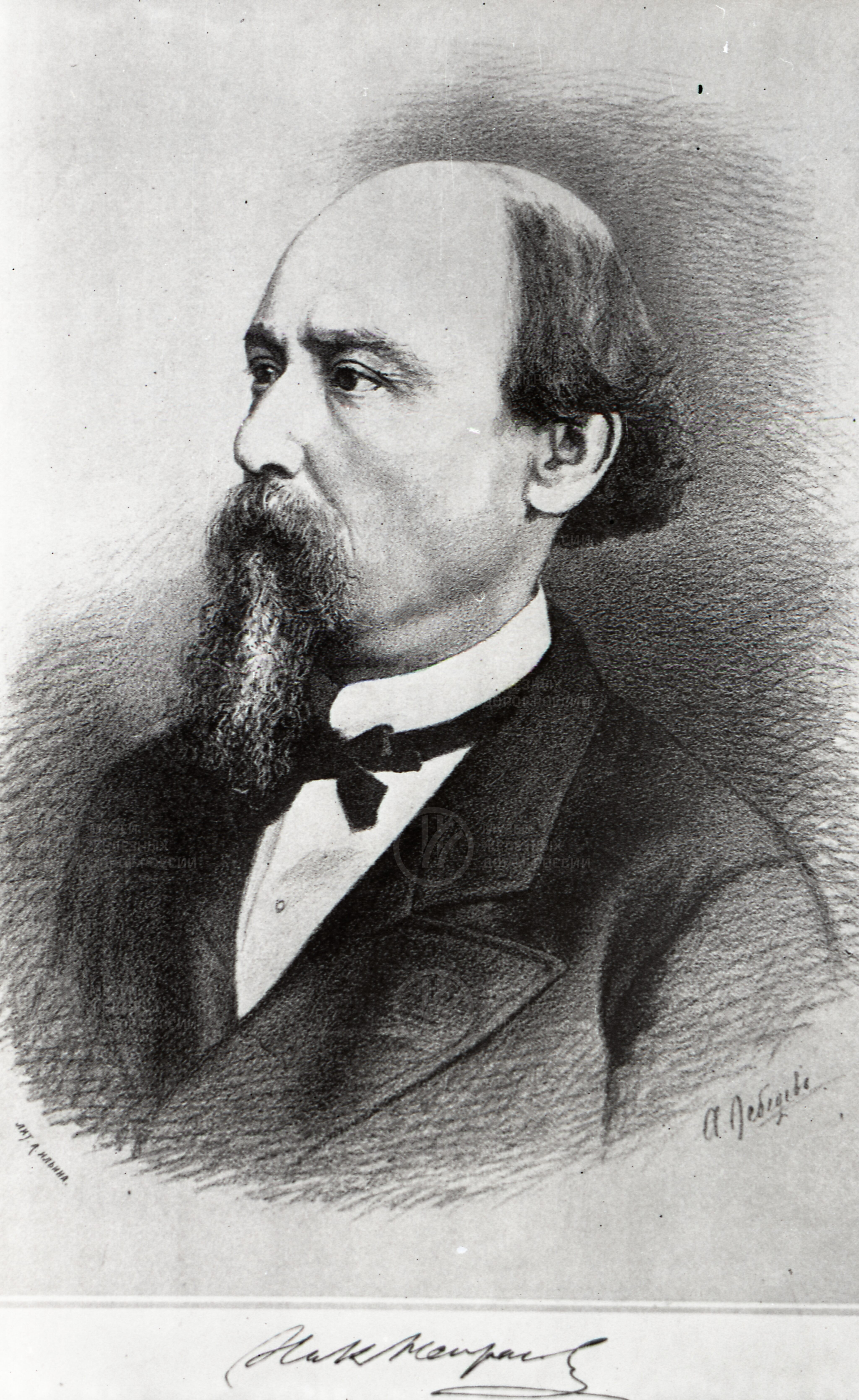 И.А. Некрасов, изображение 1