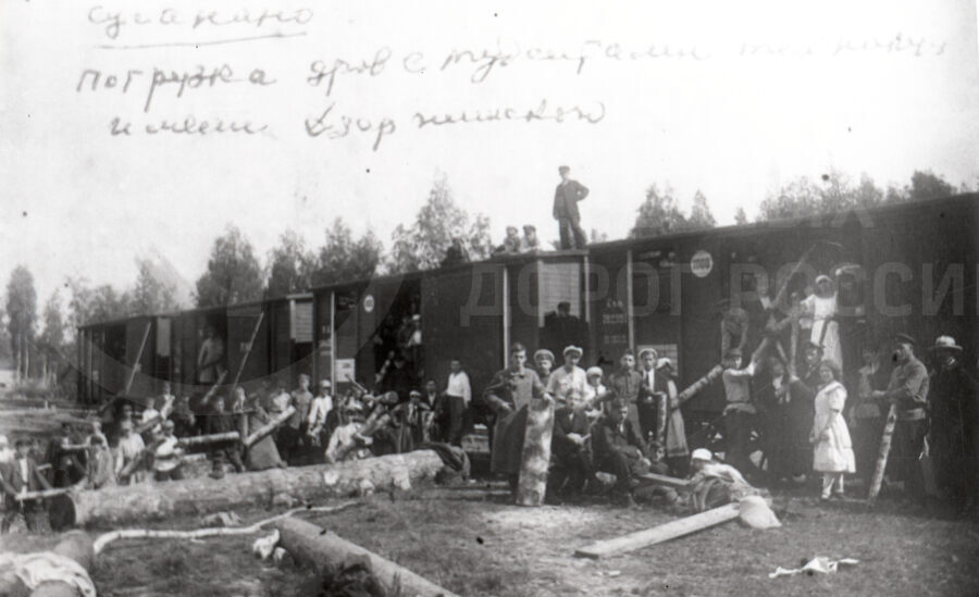 Погрузка дров студентами. Станция Сусанино. 1923 г.