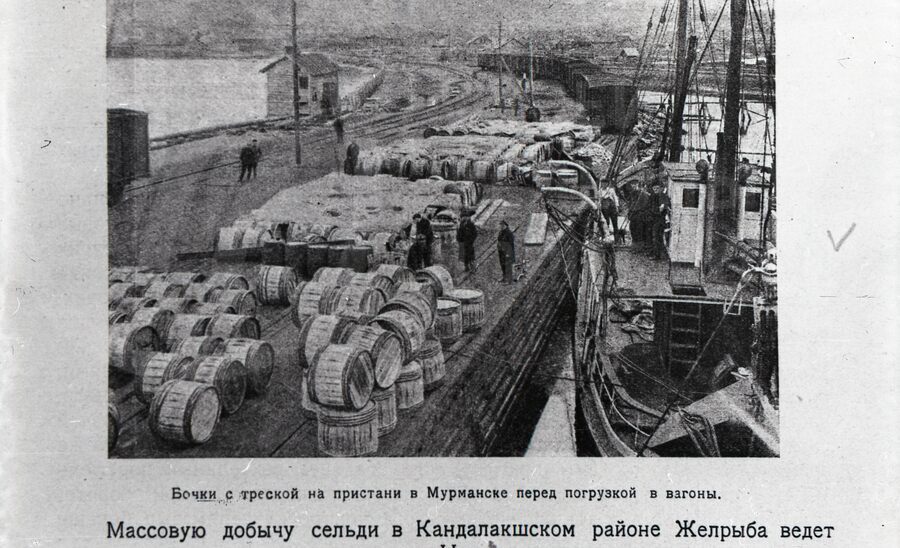 Бочки с треской на пристани в Мурманске