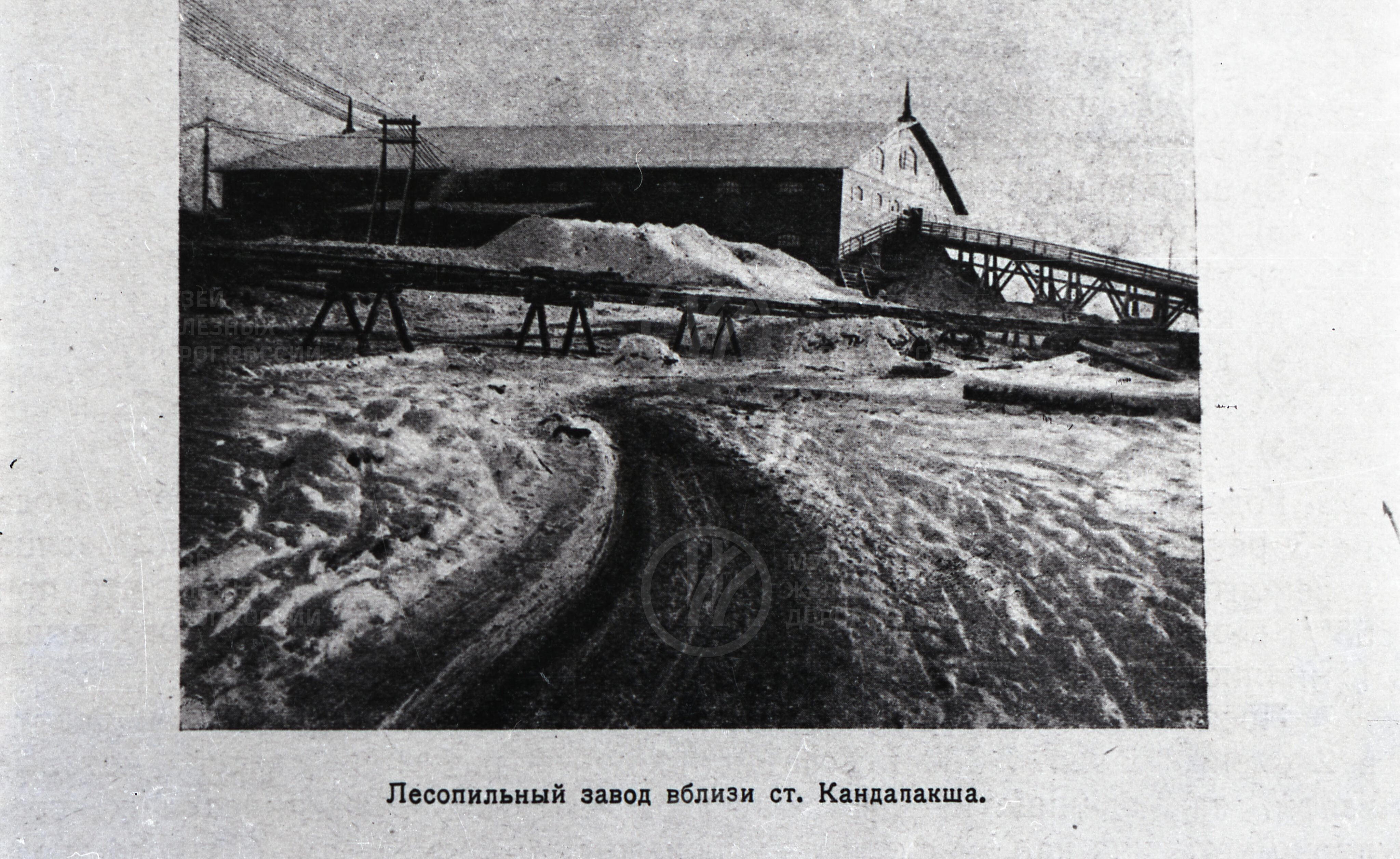Лесопильный завод близ станции Кандалакша, image 1