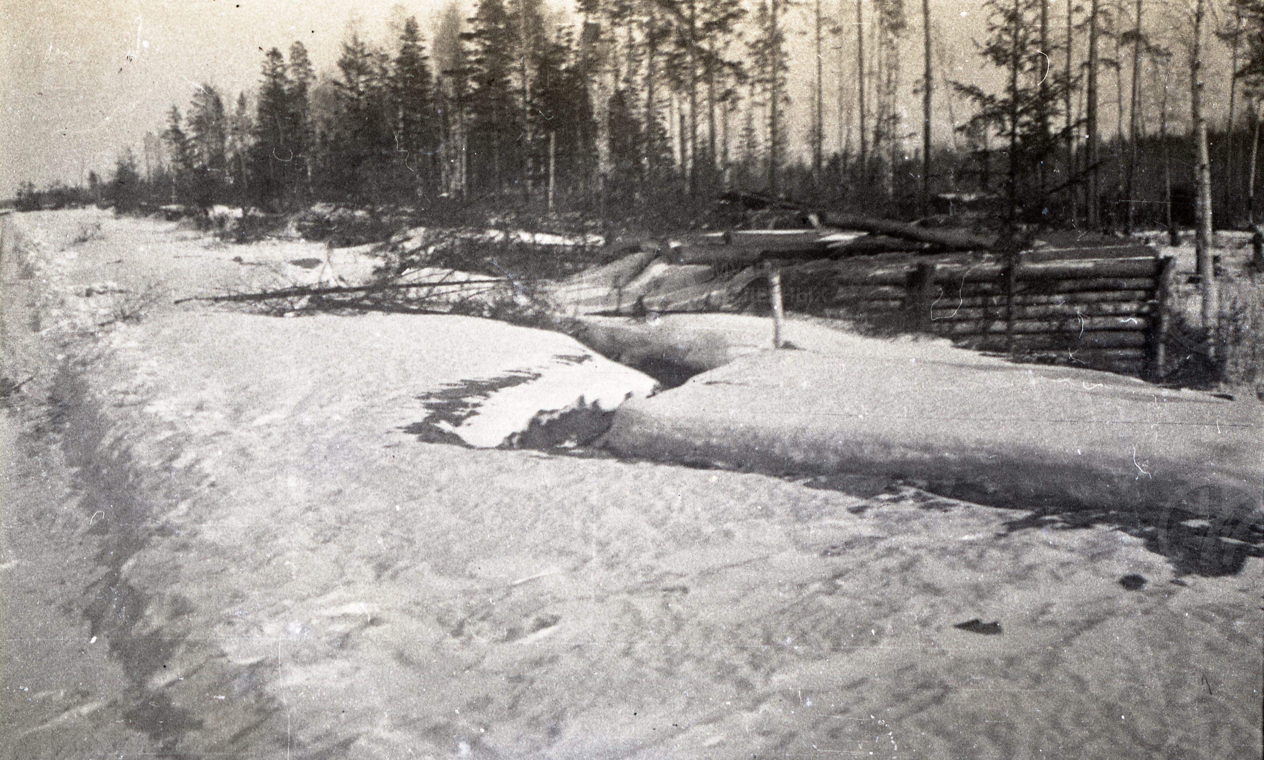 Перегон Мга – Пелла, image 1