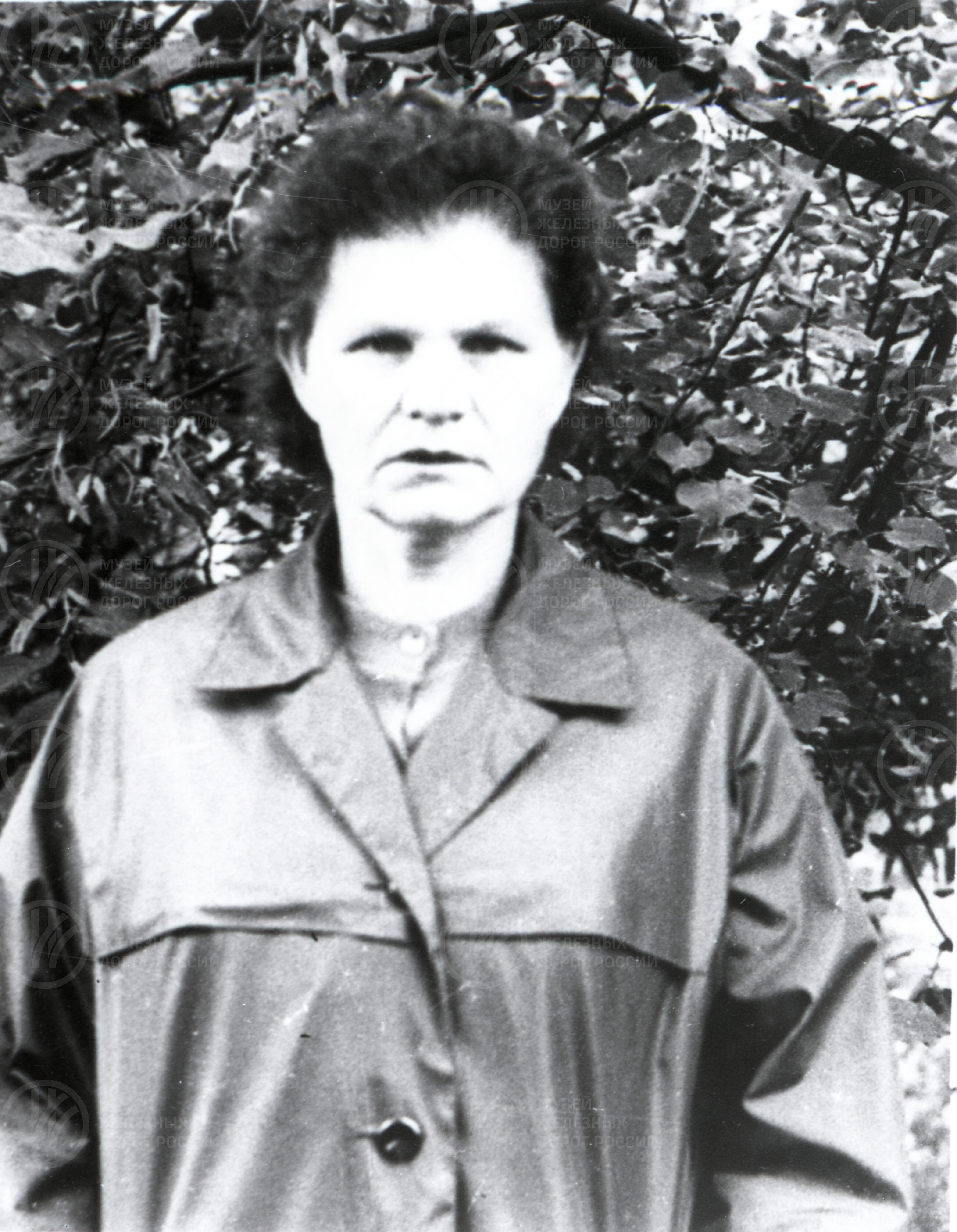 К.С. Варфоломеева. Машинист паровозного депо Великие Луки, изображение 1