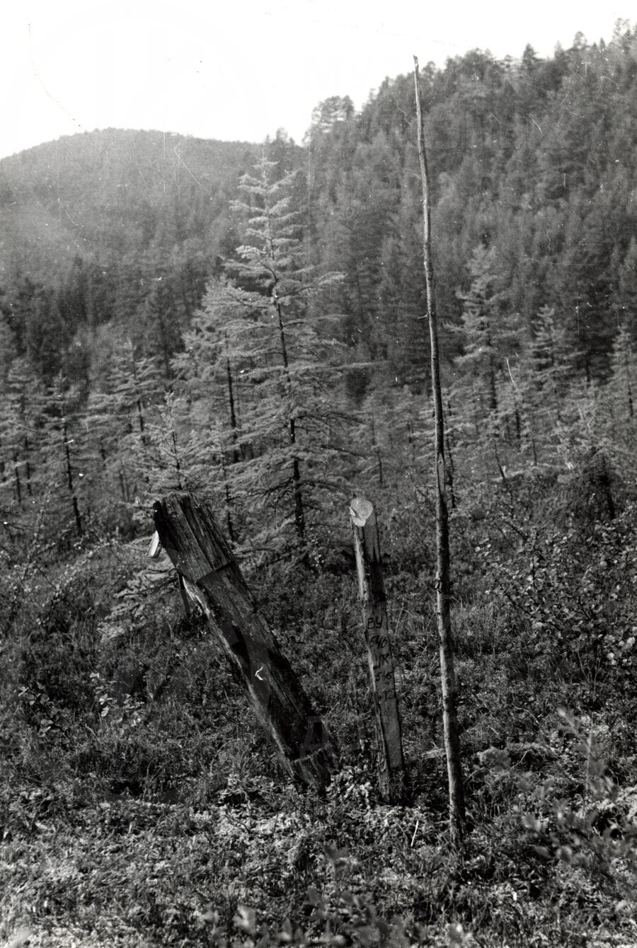 Трассировка БАМа. 1980–1985 гг.