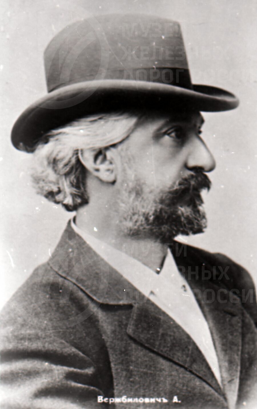А.В. Вержбилович – виолончелист. Город Павловск
