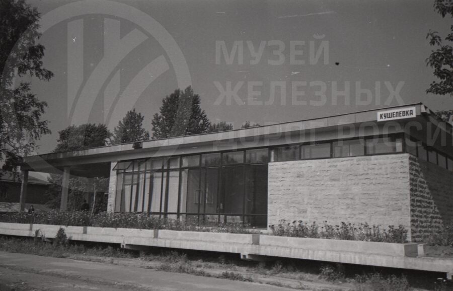 Станция Кушелевка