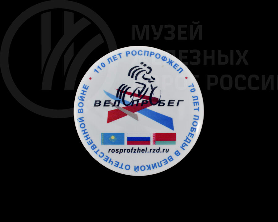Значок «110 лет Роспрофжел». 2015 г.